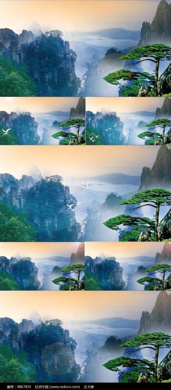 雷竞技比分